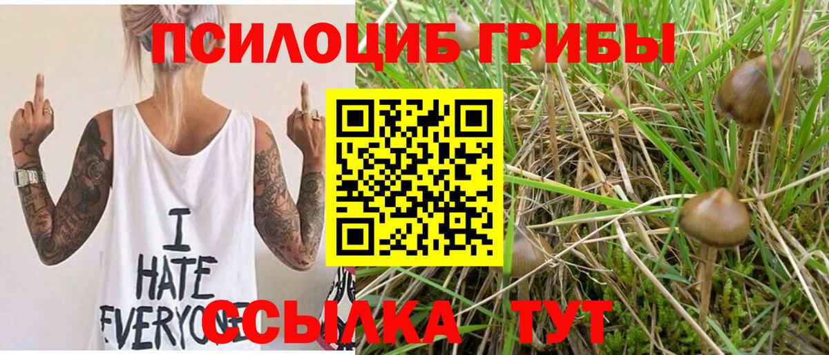 Галлюциногенные грибы Magic Shrooms  Вход с VPN  Коркино 